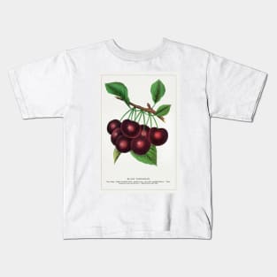 Black Tartarian Cherry Lithograph (1900) Kids T-Shirt